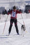 Lenk 2013